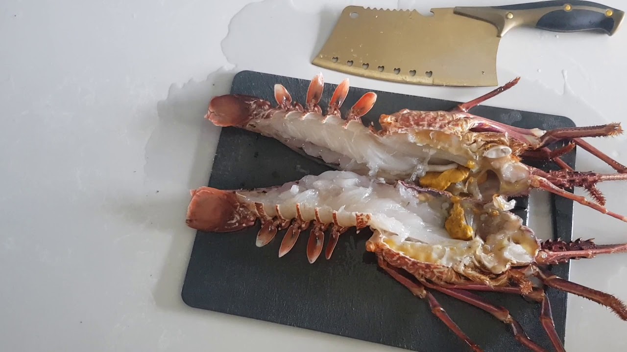 split lobster